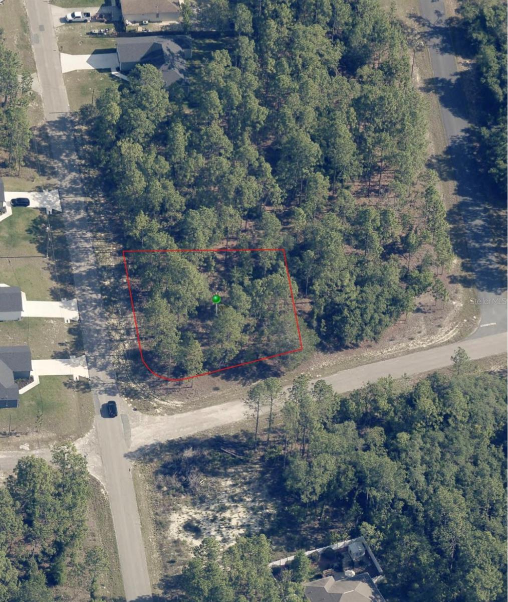 1951 W ADELIA PL, CITRUS SPRINGS, FL