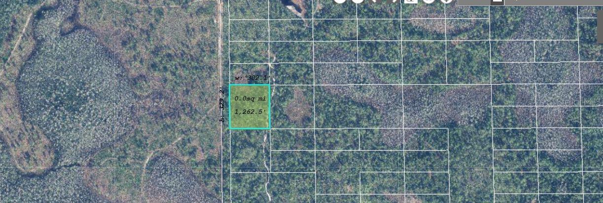 627 DILL RD, ORLANDO, FL — photo 3