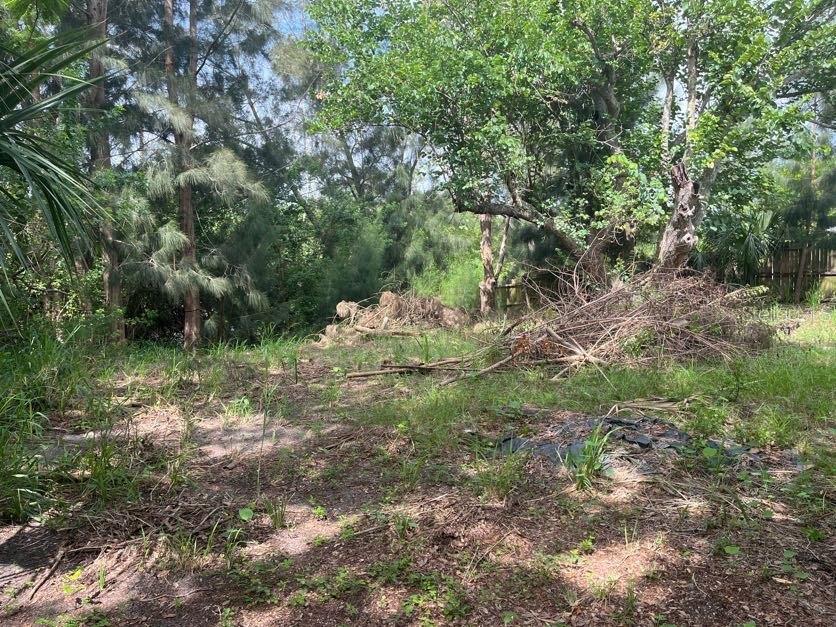 1528 STEVENSONS DR, CLEARWATER, FL — photo 14