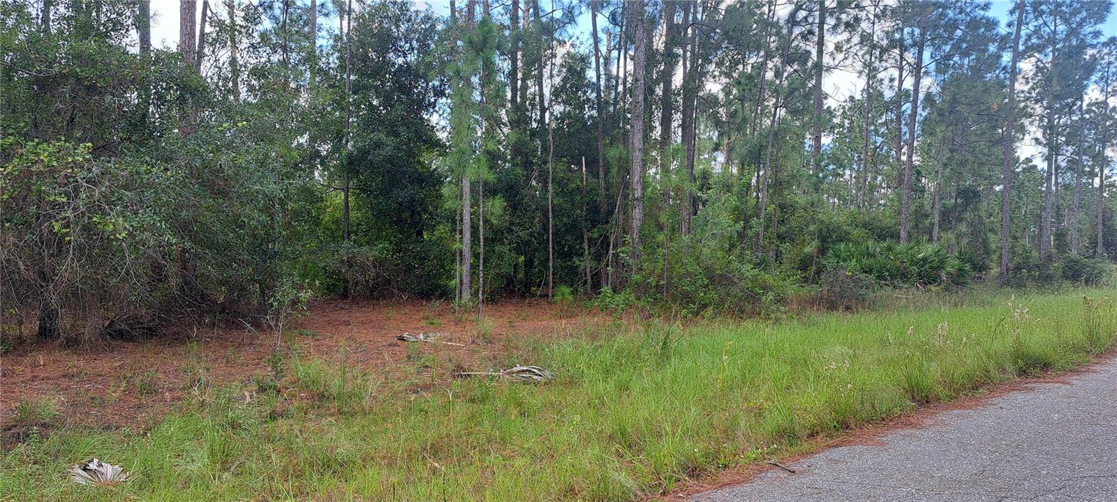 3800 E 13TH ST, LEHIGH ACRES, FL — photo 3