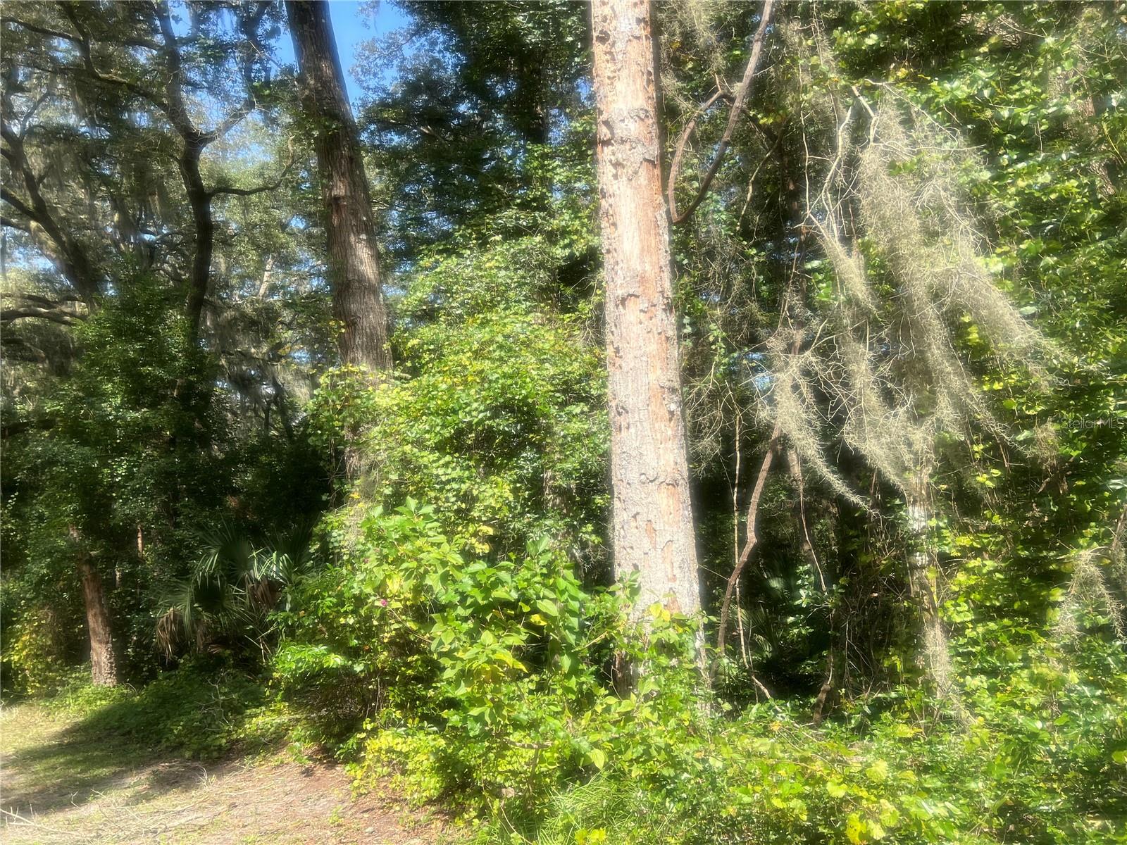 1215 ARREDONDO GRANT RD, DE LEON SPRINGS, FL