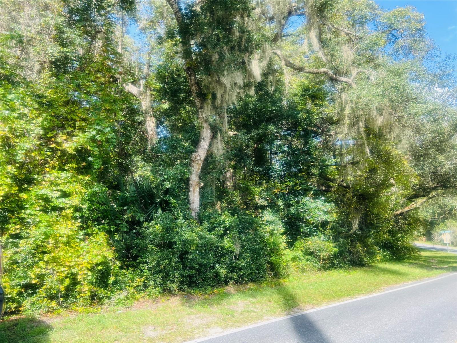 1215 ARREDONDO GRANT RD, DE LEON SPRINGS, FL — photo 2