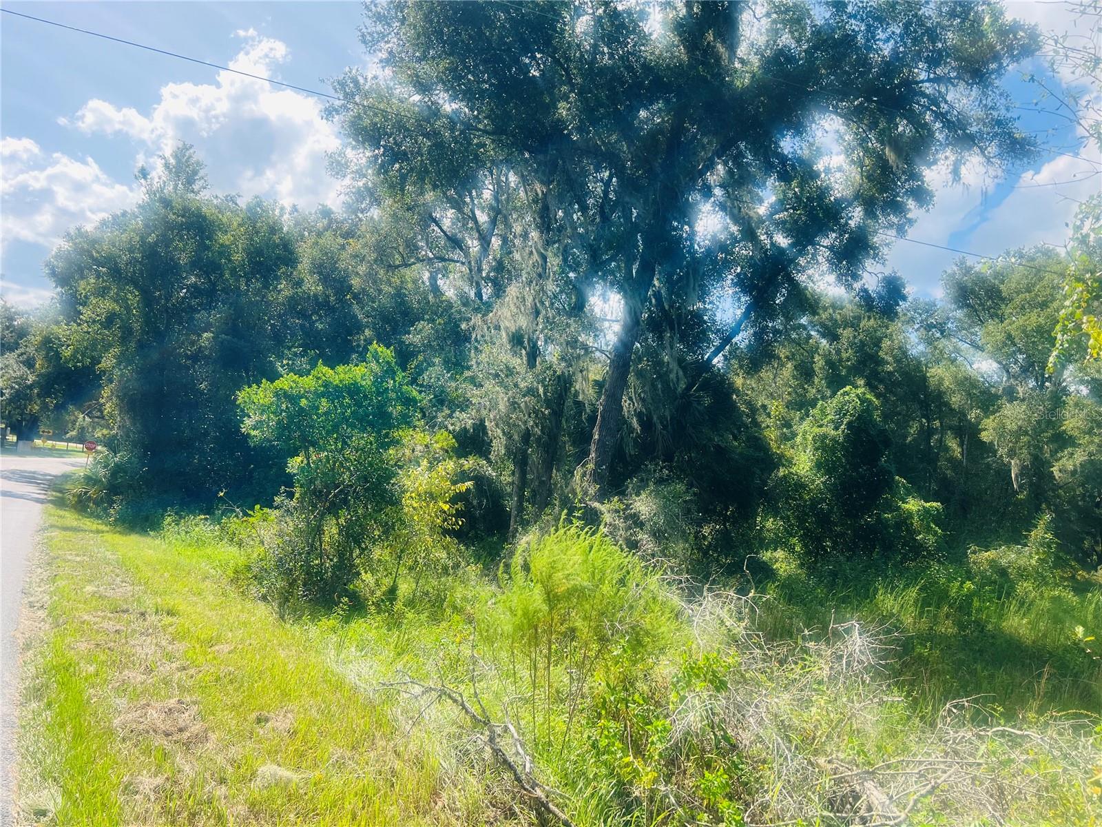 1215 ARREDONDO GRANT RD, DE LEON SPRINGS, FL — photo 3