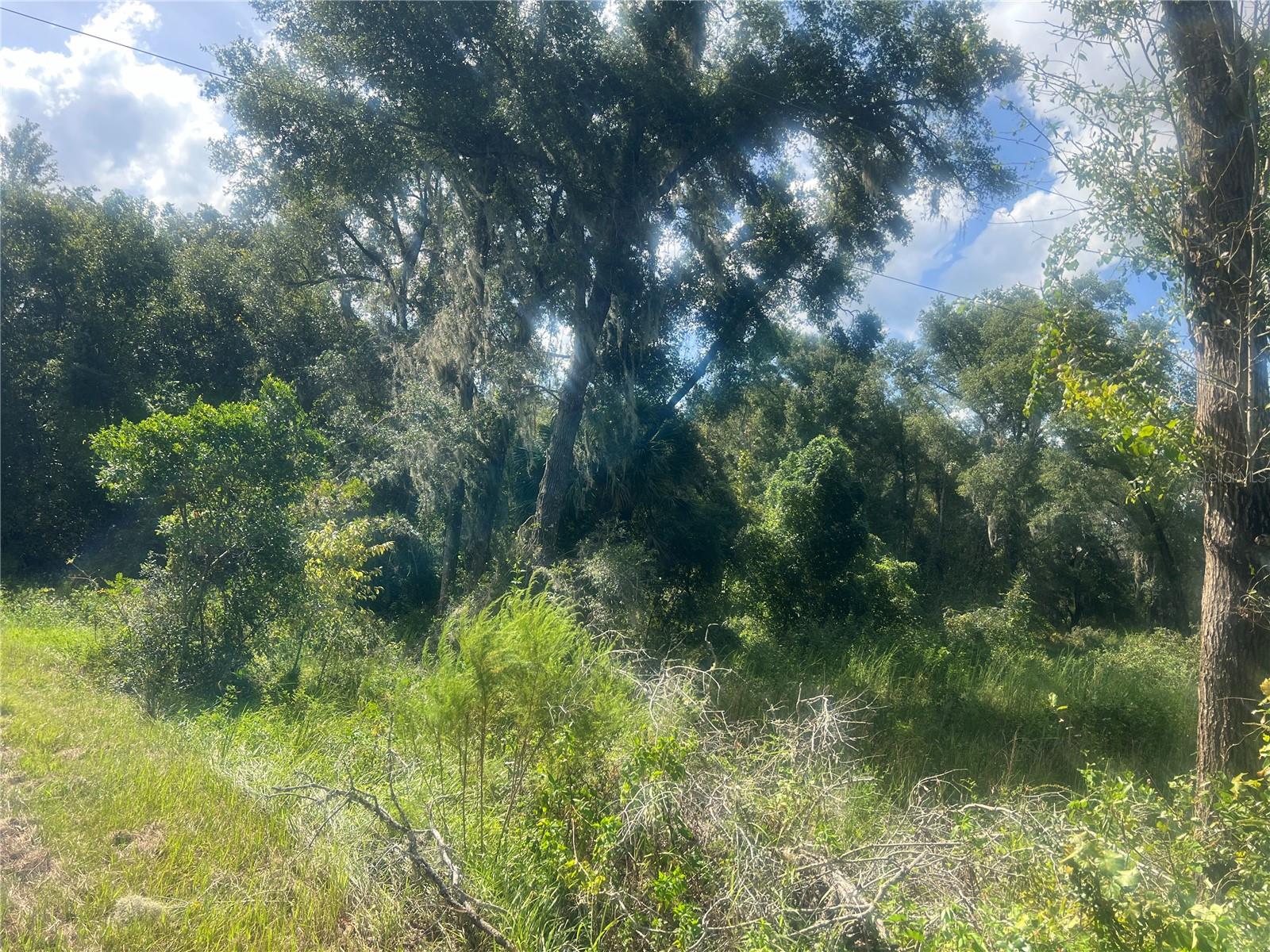 1215 ARREDONDO GRANT RD, DE LEON SPRINGS, FL — photo 4
