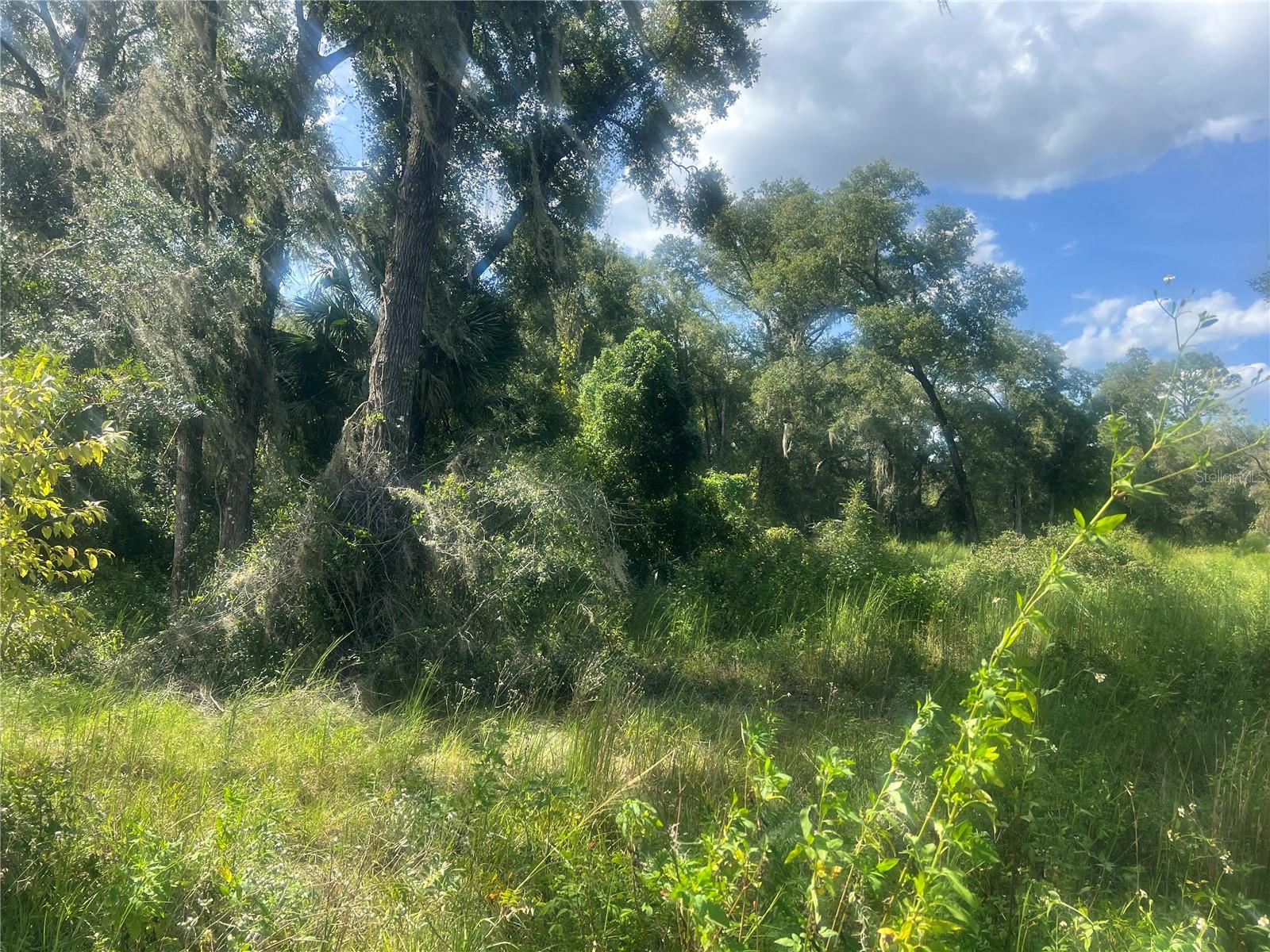 1215 ARREDONDO GRANT RD, DE LEON SPRINGS, FL — photo 5