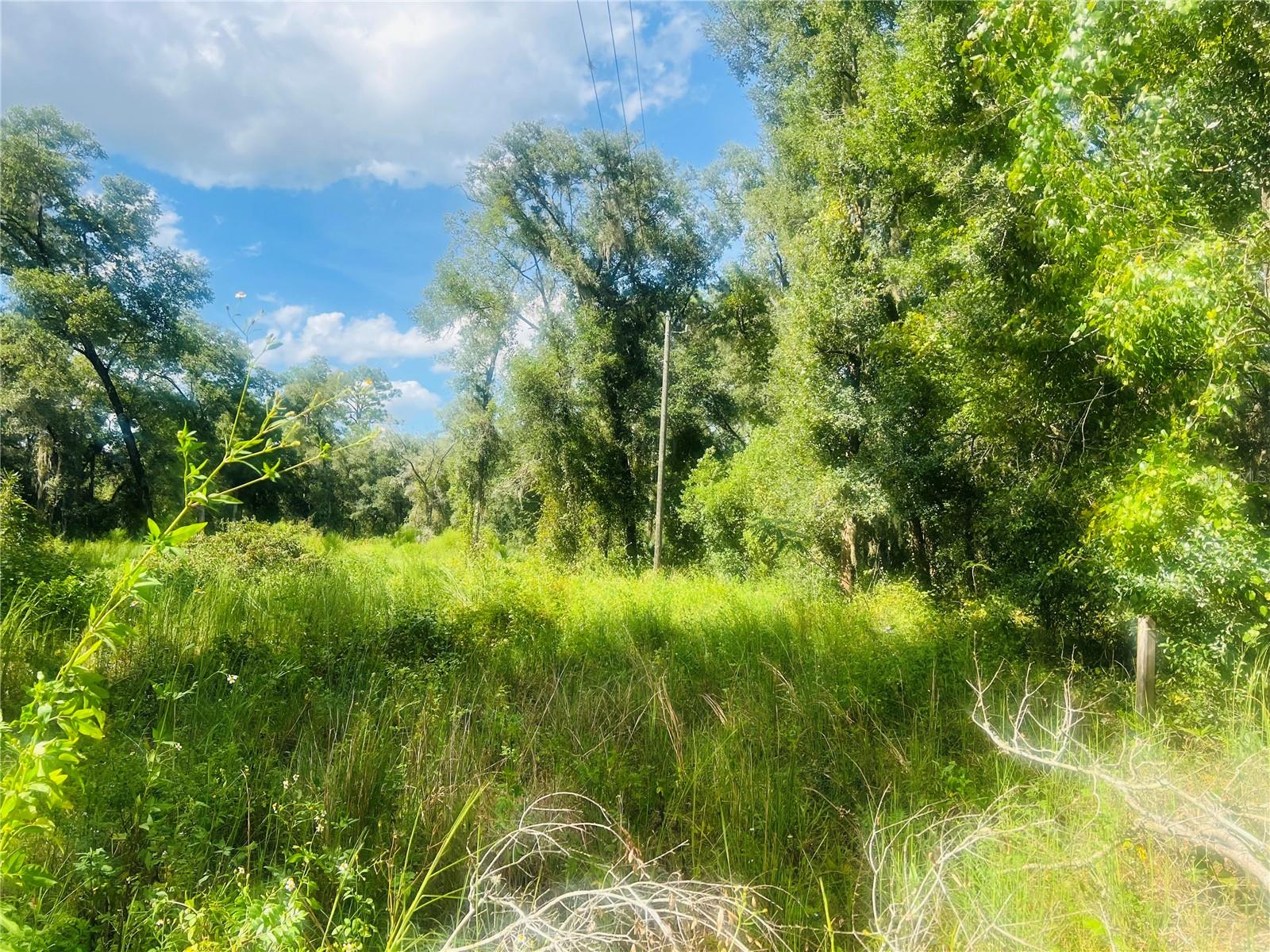 1215 ARREDONDO GRANT RD, DE LEON SPRINGS, FL — photo 6
