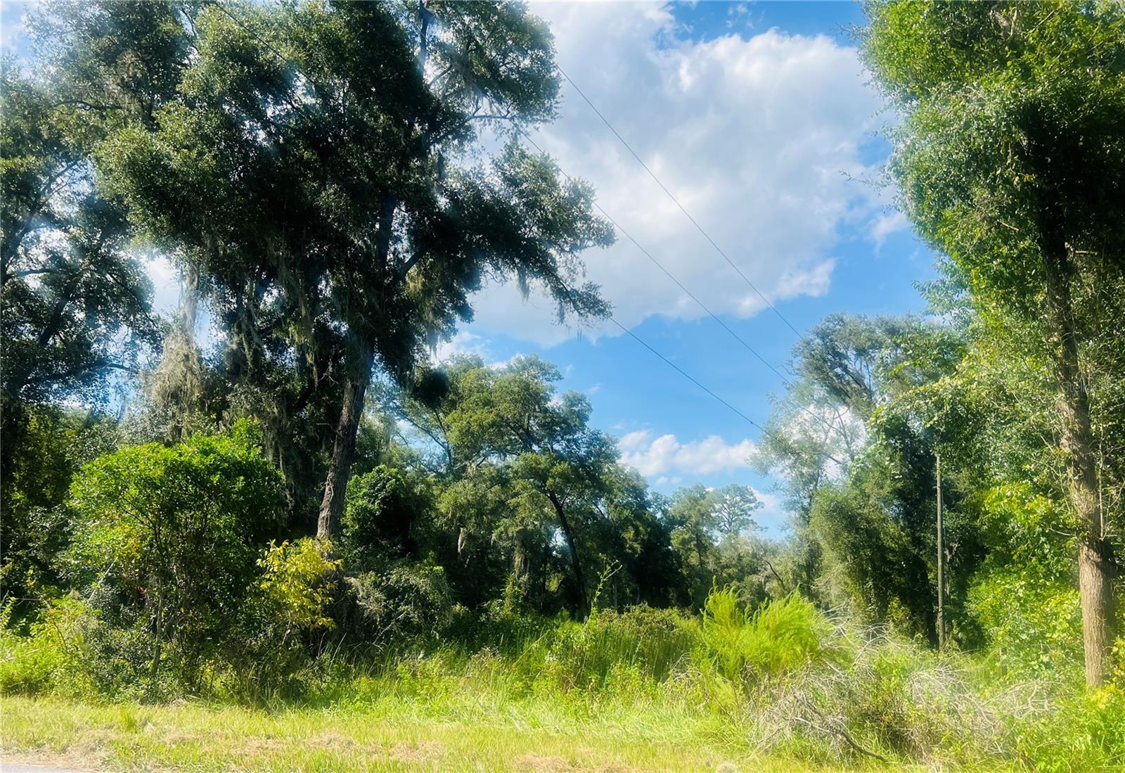 1215 ARREDONDO GRANT RD, DE LEON SPRINGS, FL — photo 7