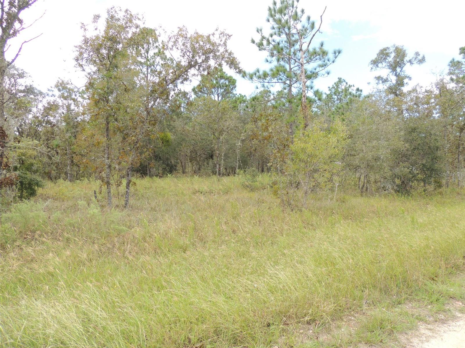 690 NE 135TH CT, WILLISTON, FL — photo 5