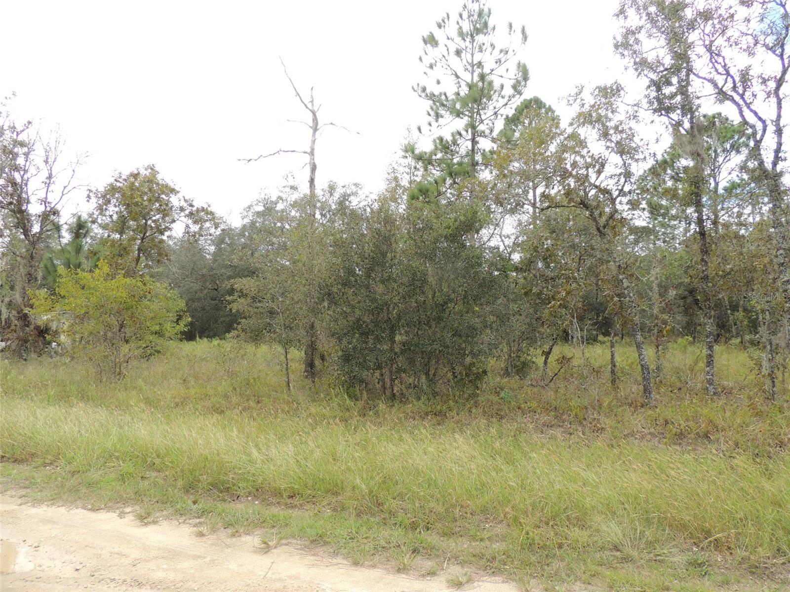 690 NE 135TH CT, WILLISTON, FL — photo 7