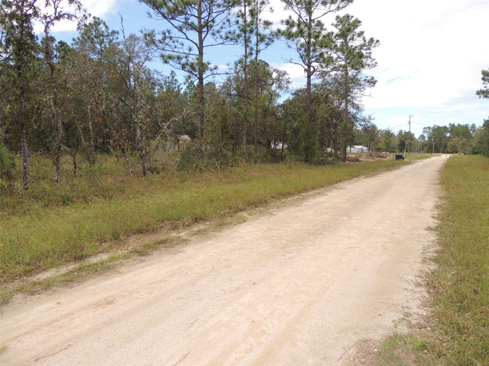 690 NE 135TH CT, WILLISTON, FL — photo 9