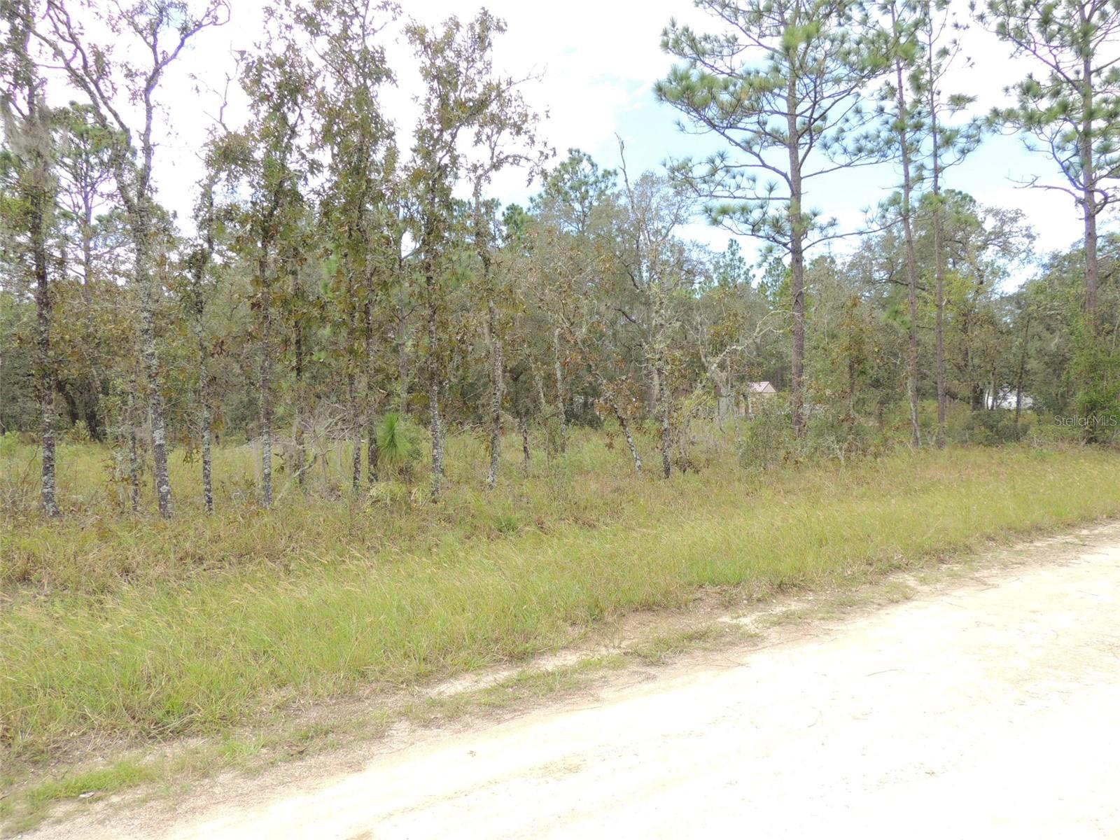 690 NE 135TH CT, WILLISTON, FL — photo 11