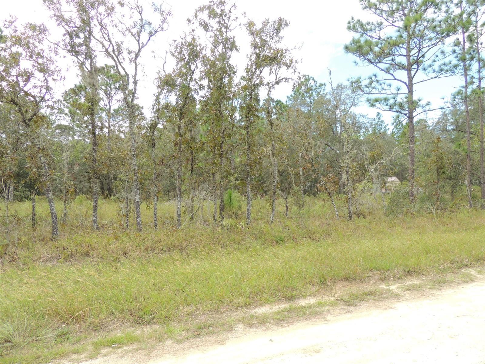 690 NE 135TH CT, WILLISTON, FL
