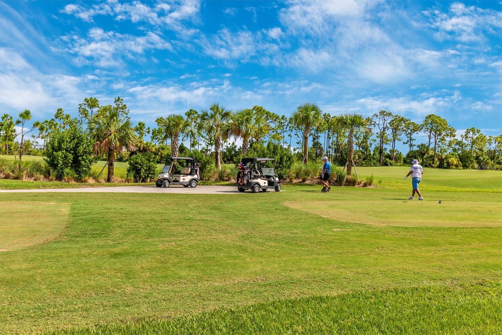 12280 WELLEN GOLF ST #203, VENICE, FL — photo 109