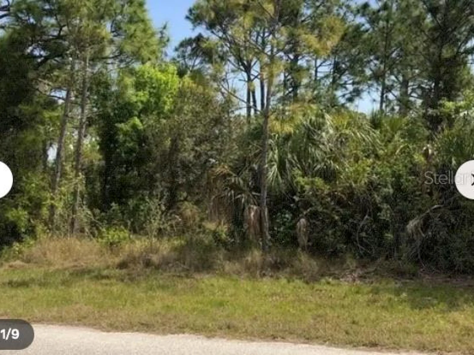8198 DITMAR ST, PORT CHARLOTTE, FL — photo 2