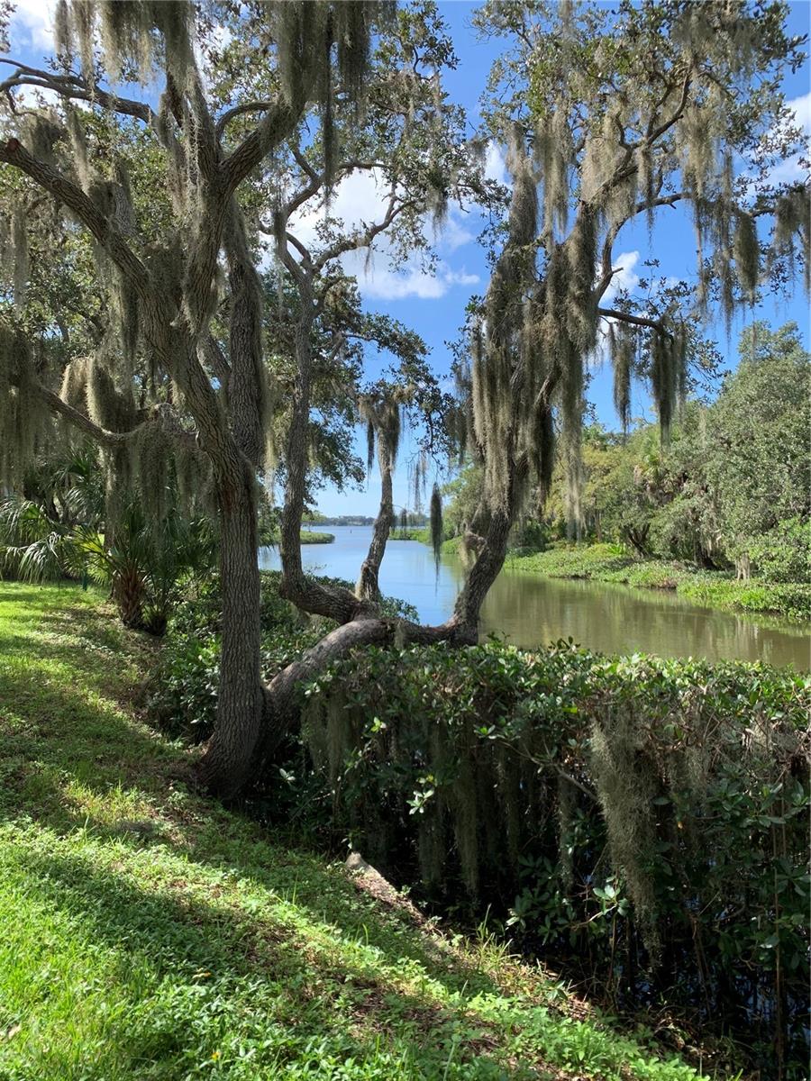 , SARASOTA, FL — photo 36