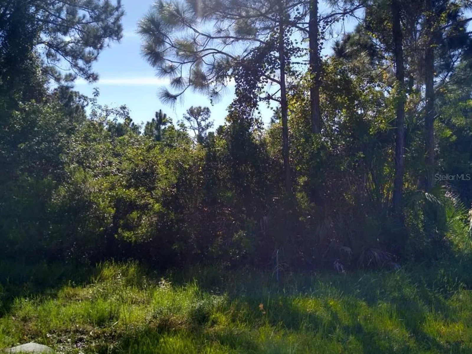 12109 KELLER AVE, PORT CHARLOTTE, FL — photo 10