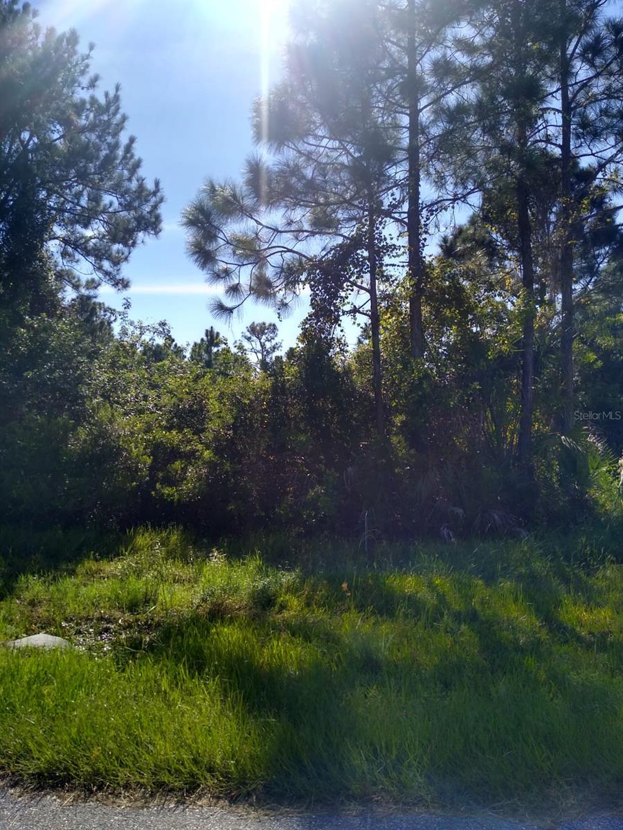12109 KELLER AVE, PORT CHARLOTTE, FL — photo 9