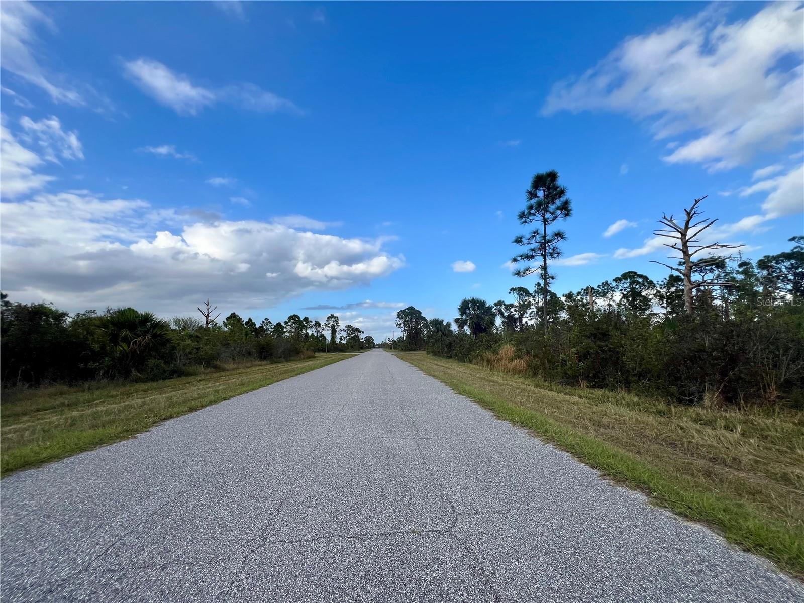 12132 CONROY AVE, PORT CHARLOTTE, FL — photo 3