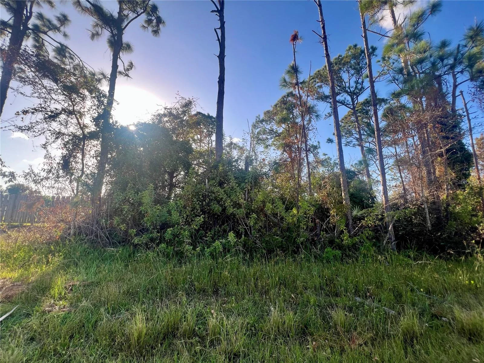 5449 BURGNER ST, PORT CHARLOTTE, FL — photo 6
