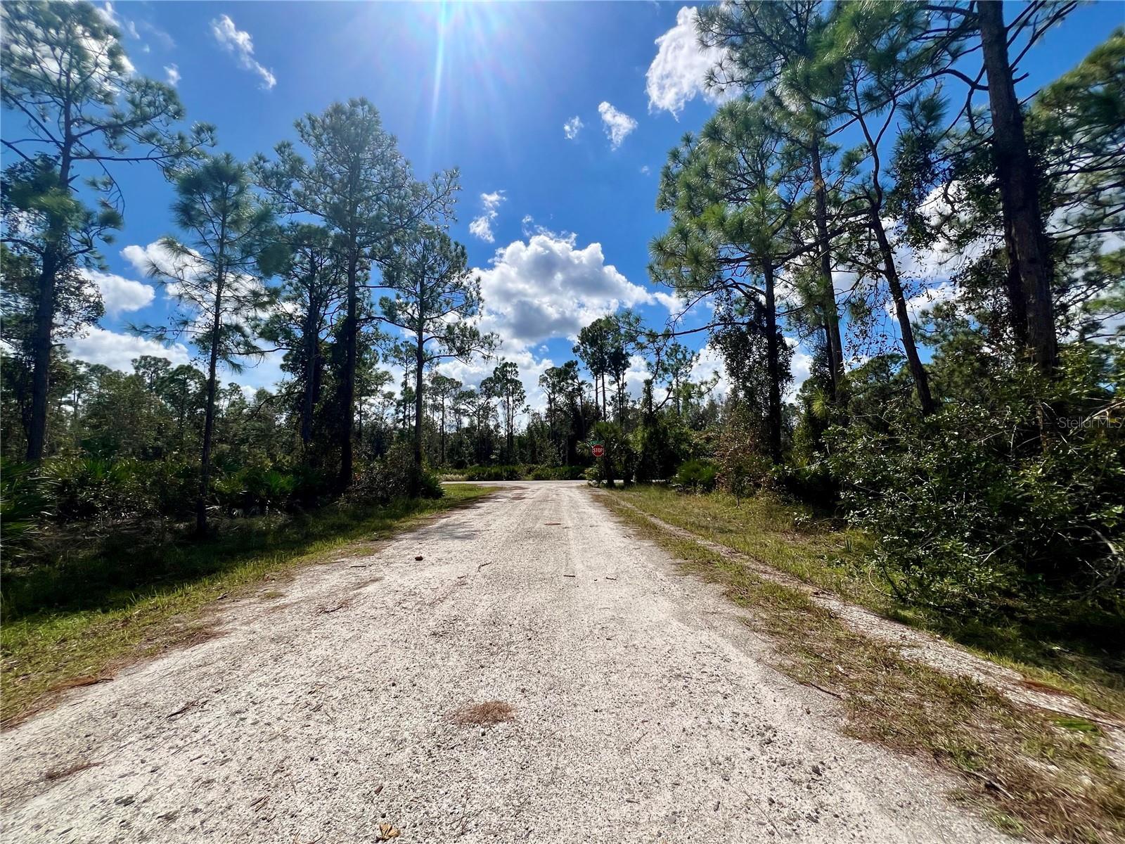 12334 HINDLE AVE, PUNTA GORDA, FL — photo 4