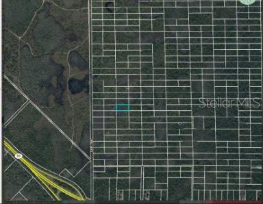 DILL RD, ORLANDO, FL — photo 3