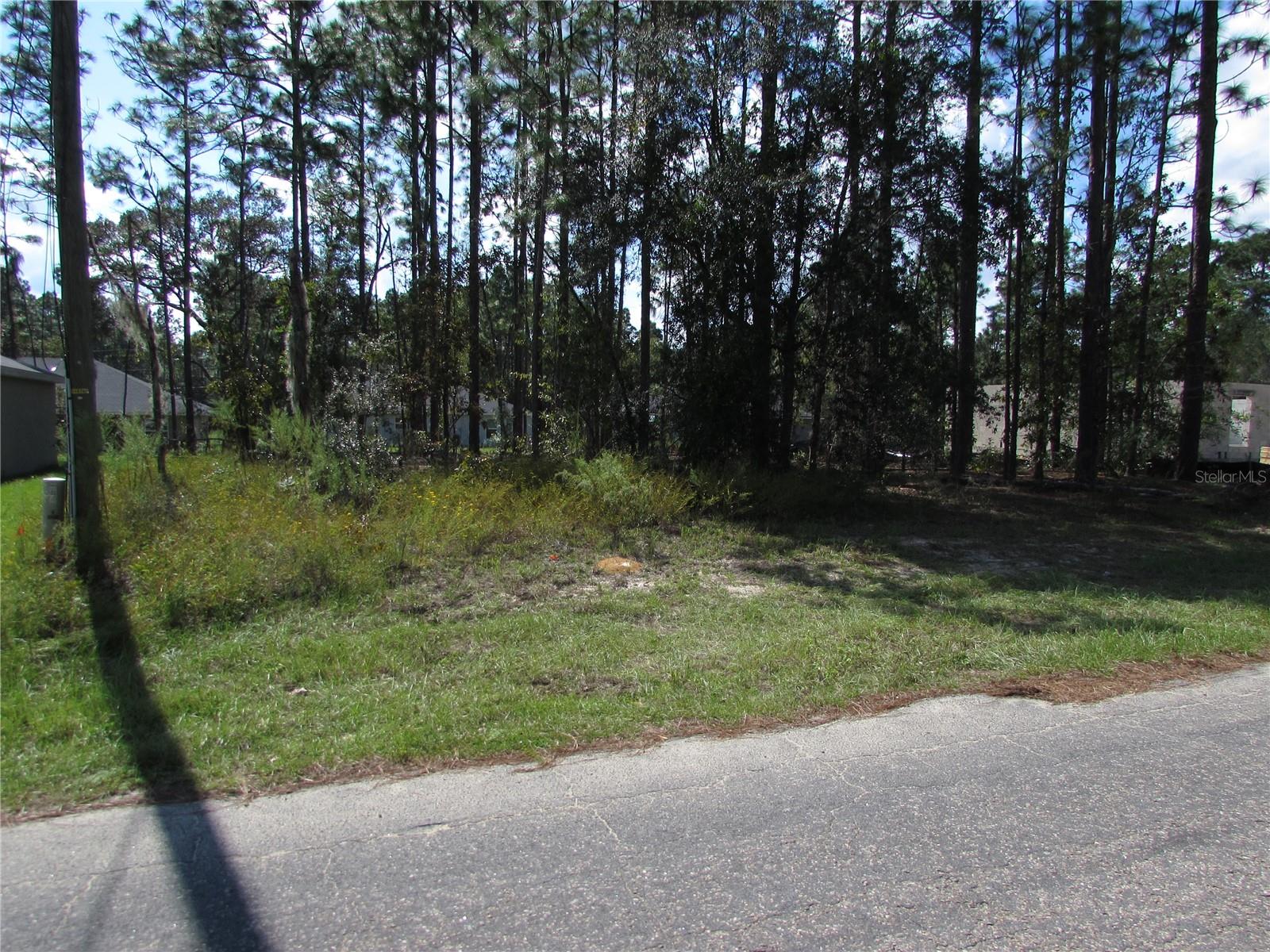 9250 N TRAVIS DR, CITRUS SPRINGS, FL