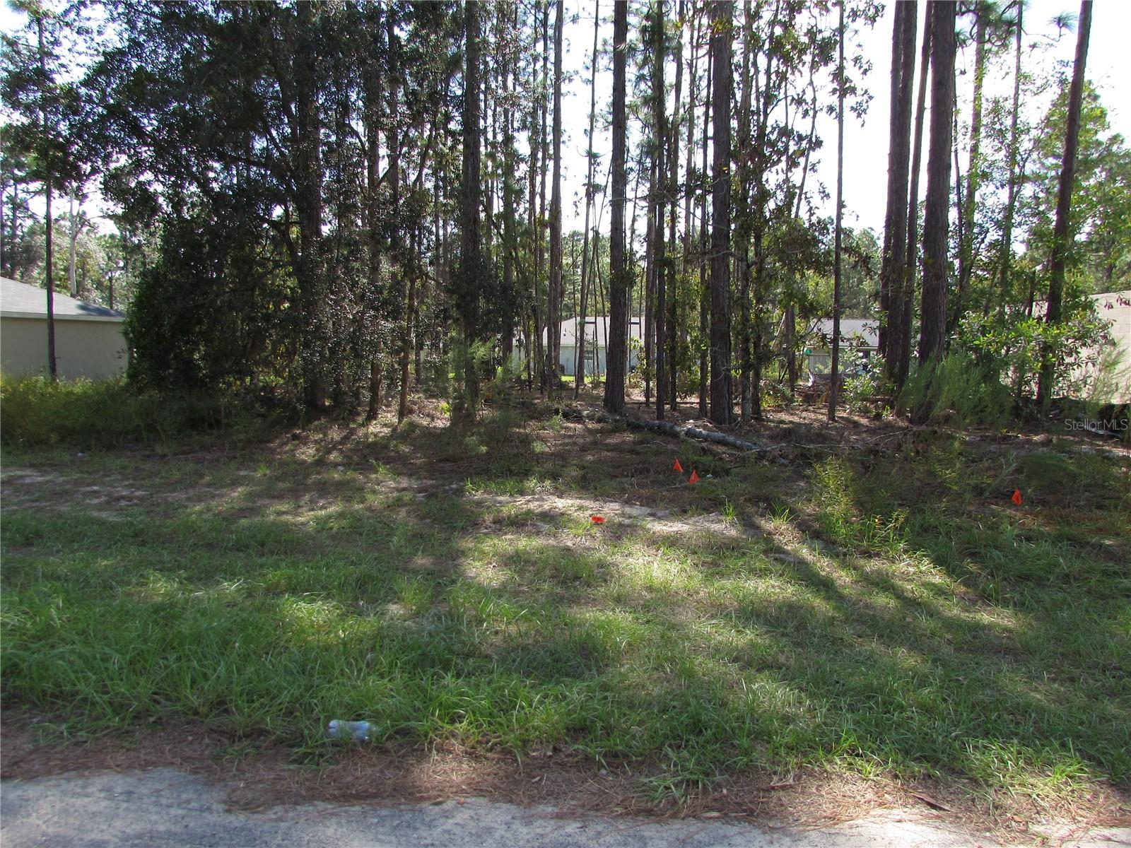 9250 N TRAVIS DR, CITRUS SPRINGS, FL — photo 3