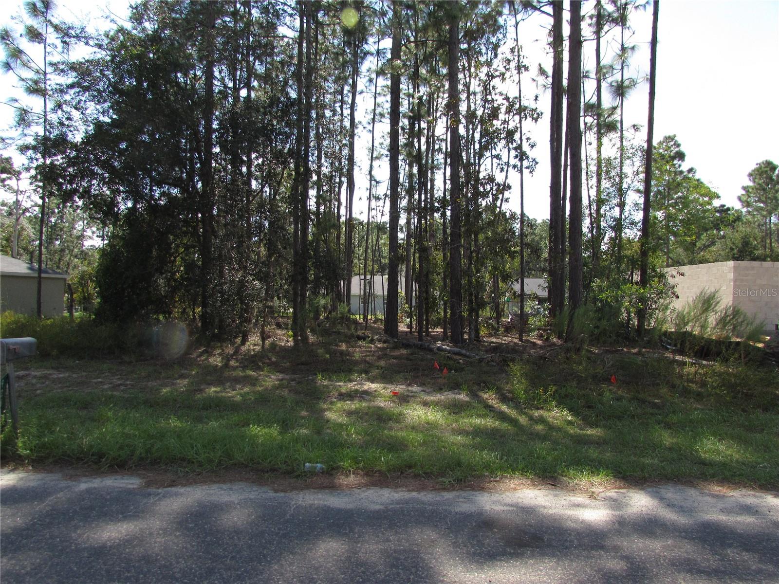 9250 N TRAVIS DR, CITRUS SPRINGS, FL — photo 12