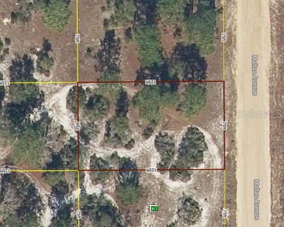Lot 23 MALTAS AVE, INTERLACHEN, FL