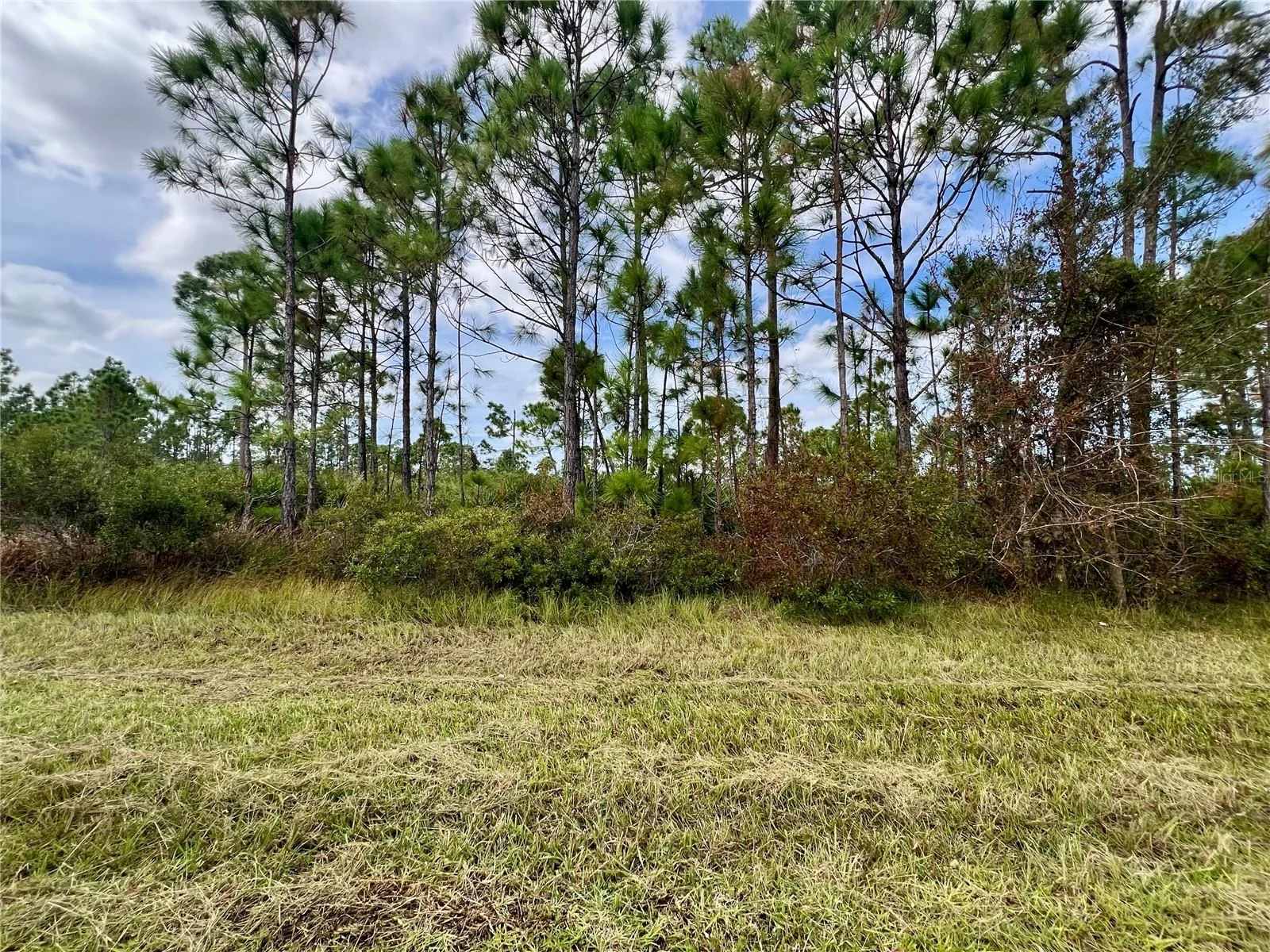 451 FELLENZ ST, PORT CHARLOTTE, FL — photo 2