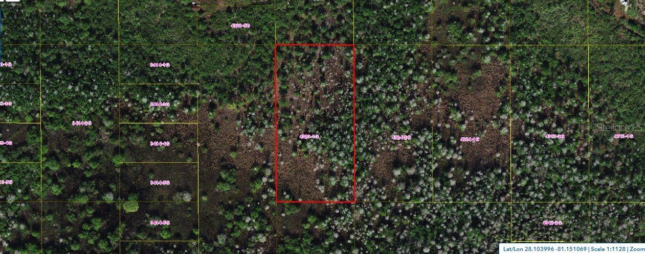HOLOPAW GROVES RD, ST CLOUD, FL