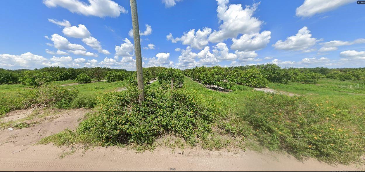 HOLOPAW GROVES RD, ST CLOUD, FL — photo 3