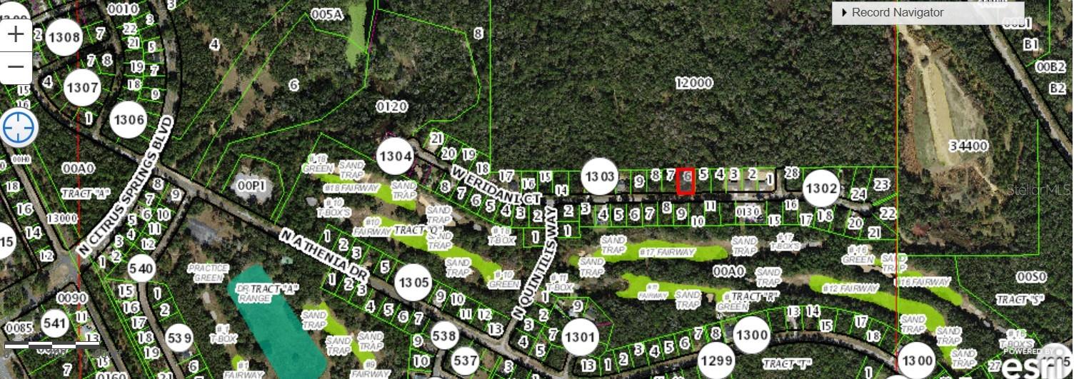 271 W ERIDANI CT, CITRUS SPRINGS, FL — photo 3