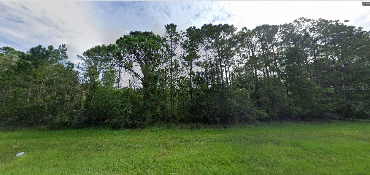DILL RD, ORLANDO, FL — photo 2