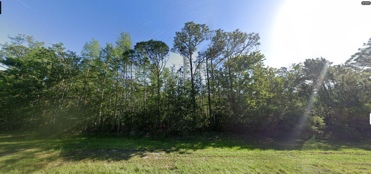 DILL RD, ORLANDO, FL — photo 2