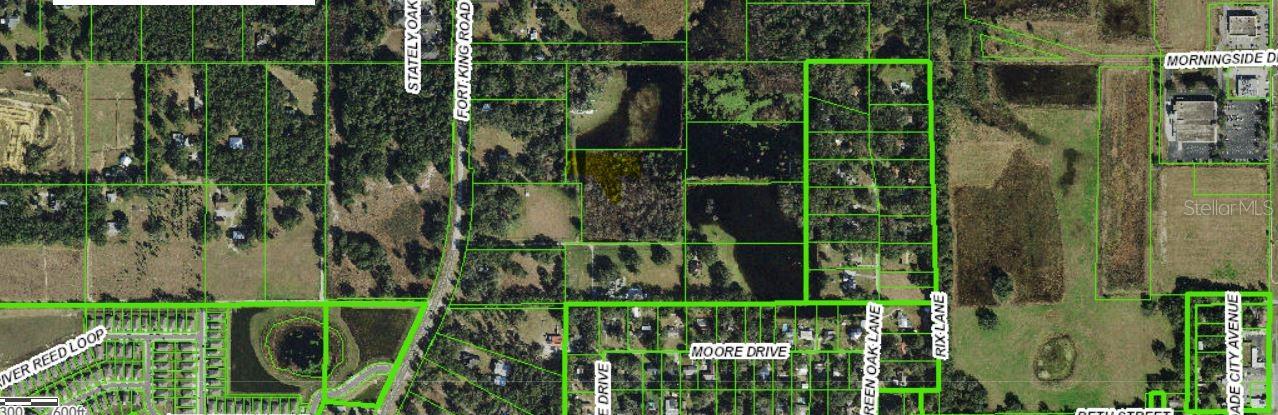 MOORE DRIVE, DADE CITY, FL — photo 2