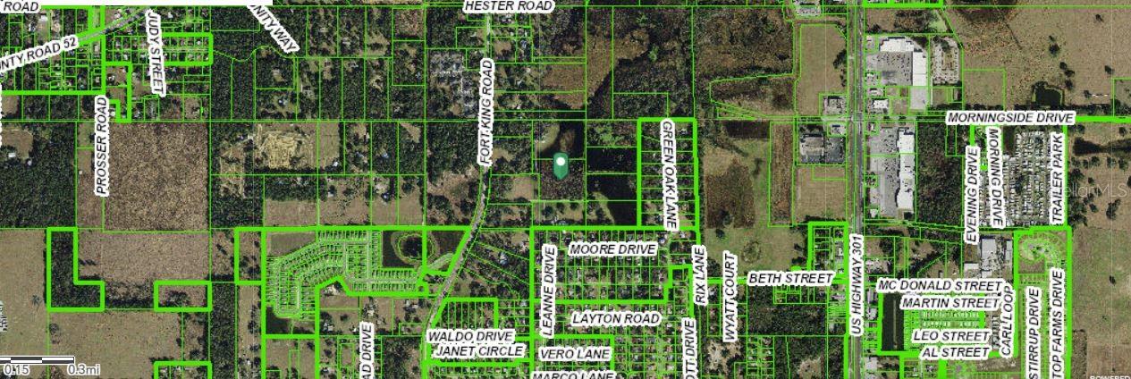 MOORE DRIVE, DADE CITY, FL — photo 3