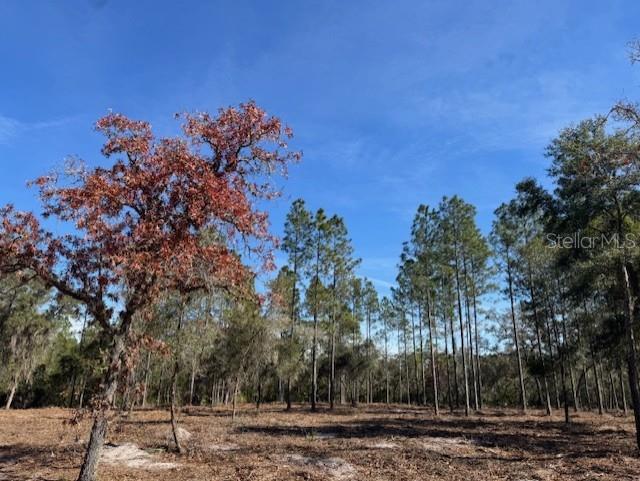 11901 NE 150TH AVE RD, FORT MC COY, FL — photo 5