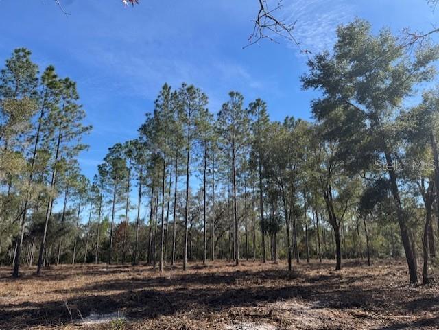 11901 NE 150TH AVE RD, FORT MC COY, FL — photo 22