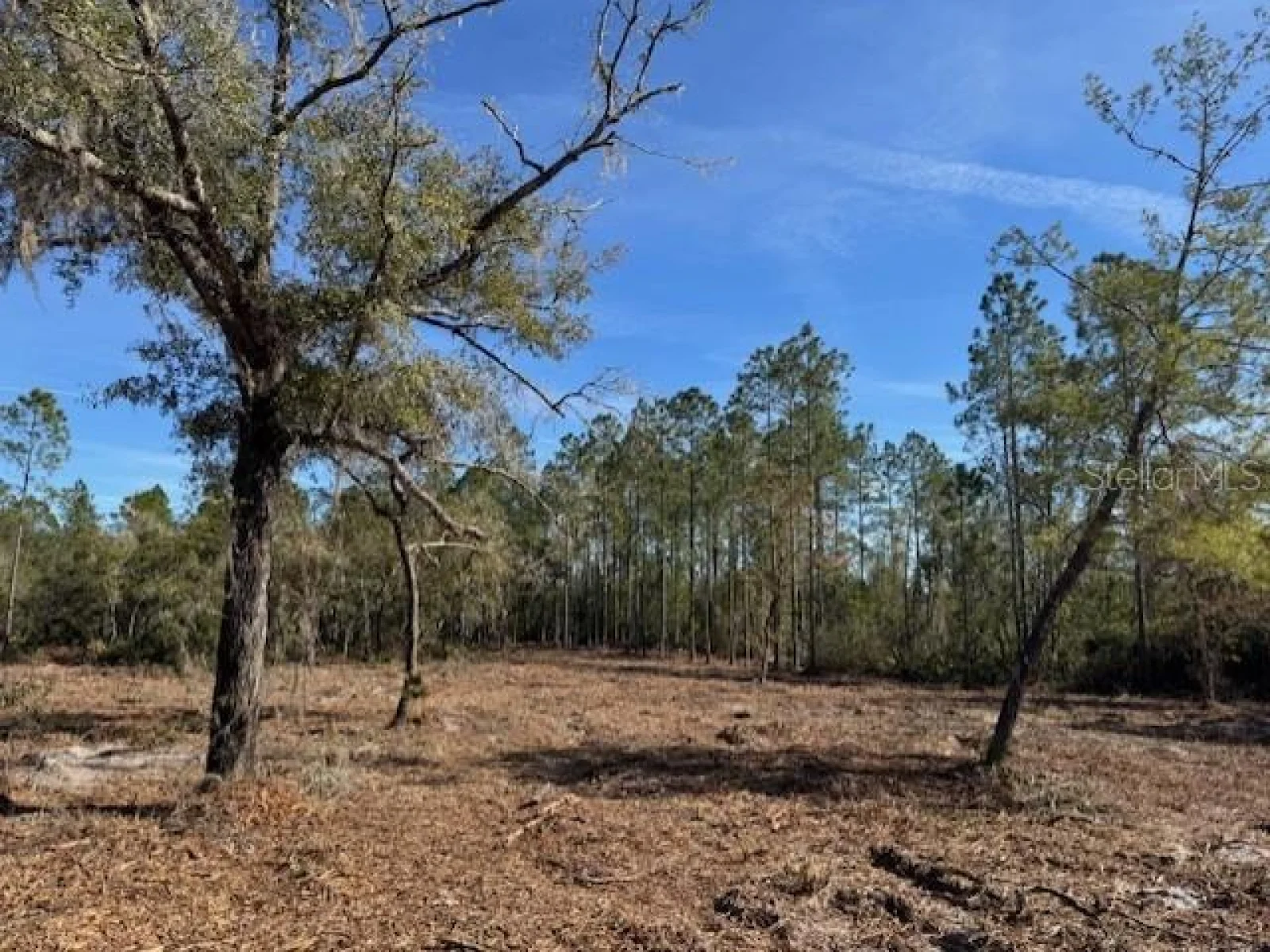 11901 NE 150TH AVE RD, FORT MC COY, FL — photo 32
