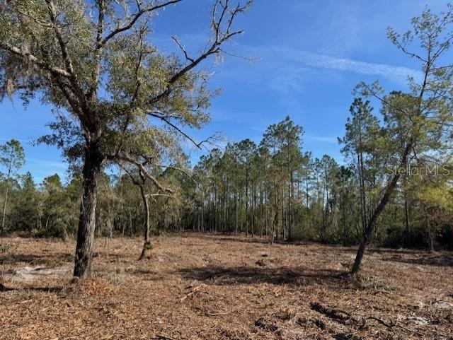 11901 NE 150TH AVE RD, FORT MC COY, FL — photo 31