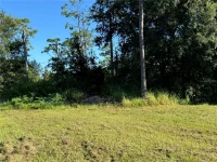 638 JAGUAR CT — photo 3