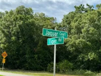 638 JAGUAR CT — photo 4
