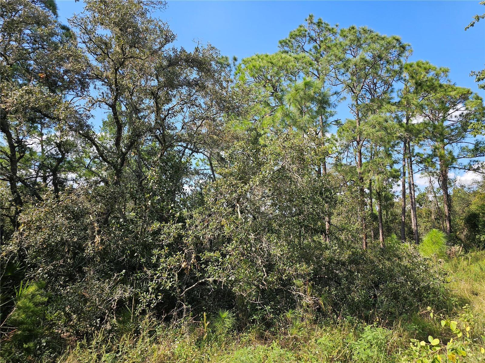 7105 ORCHID PL, SEBRING, FL