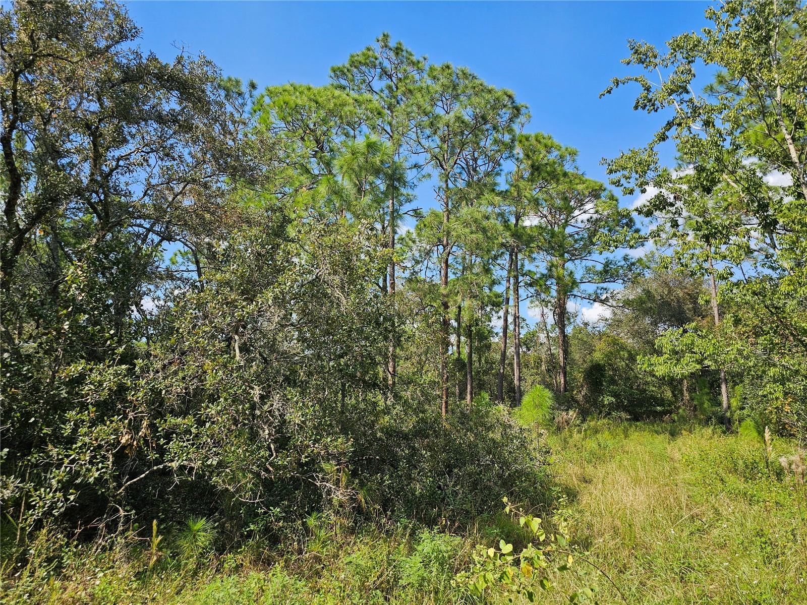 7105 ORCHID PL, SEBRING, FL — photo 2