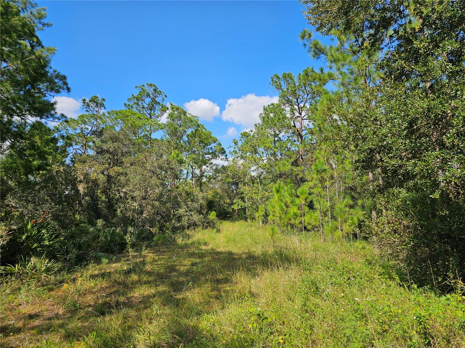 7105 ORCHID PL, SEBRING, FL — photo 3