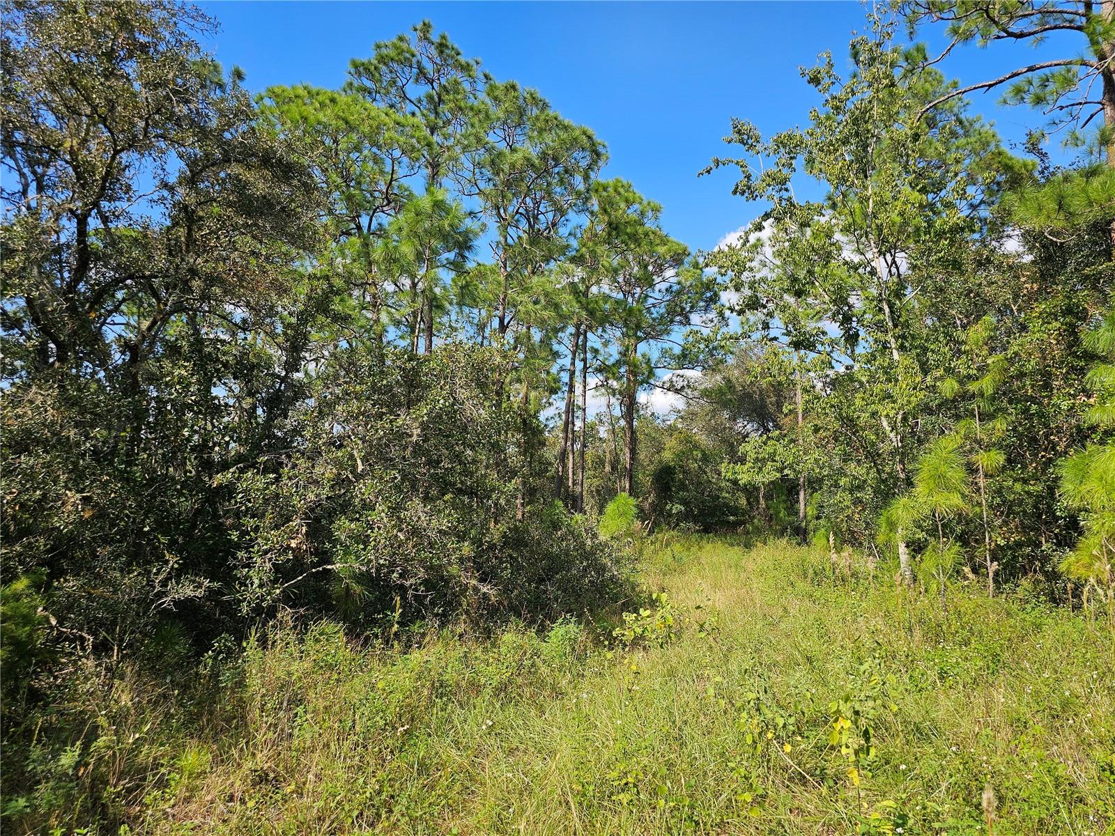 7105 ORCHID PL, SEBRING, FL — photo 8