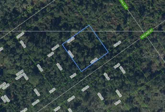 1210 HAVILAND ST, LAKE PLACID, FL
