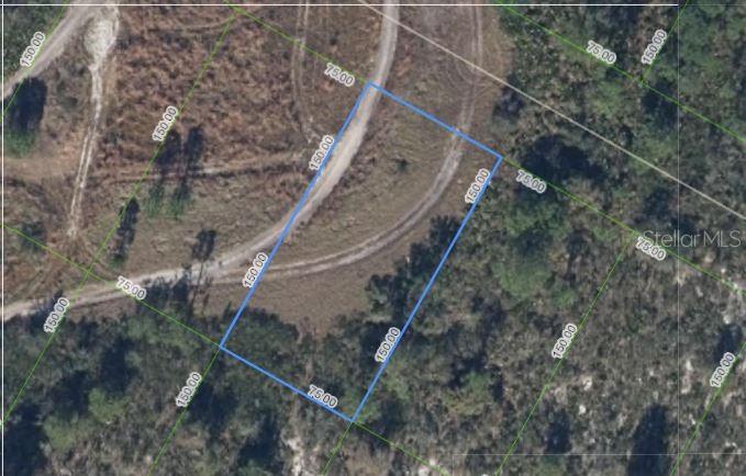 1033 CLEVELAND AVE, LAKE PLACID, FL