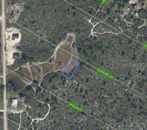1033 CLEVELAND AVE, LAKE PLACID, FL — photo 2